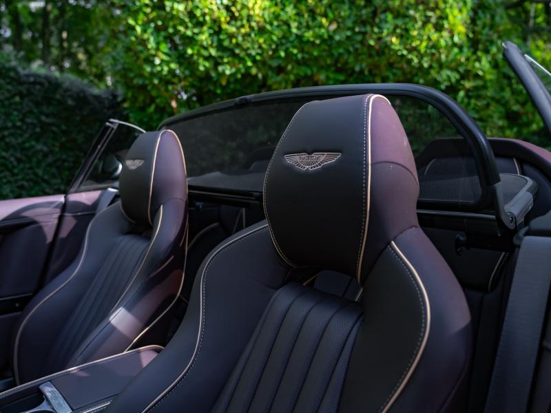 Aston Martin Timeless by Louyet | DB9
