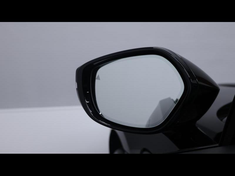 Aston Martin Timeless by Louyet | DBX