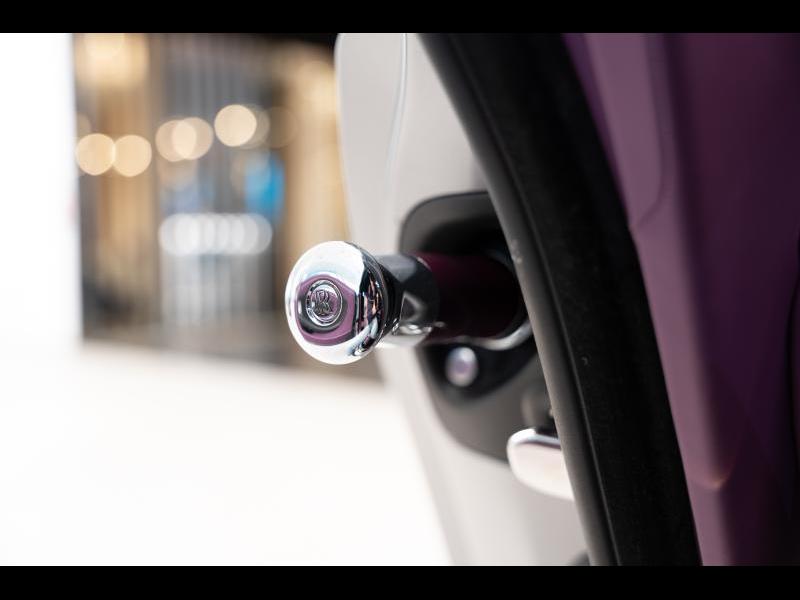 Rolls-Royce Provenance by Louyet | Spectre